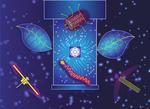 Effects of the environment on quantum systems